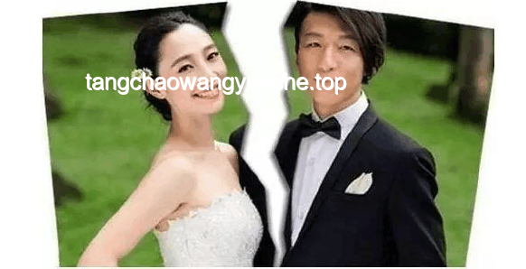 娱乐圈家庭纷争下的公众形象与责任担当
